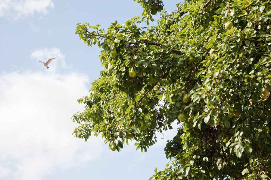 The Digital Hub tweet media