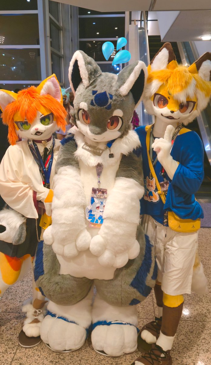 竹千代Takechiyo (@Phyllosta_tiyo) / Posts / X