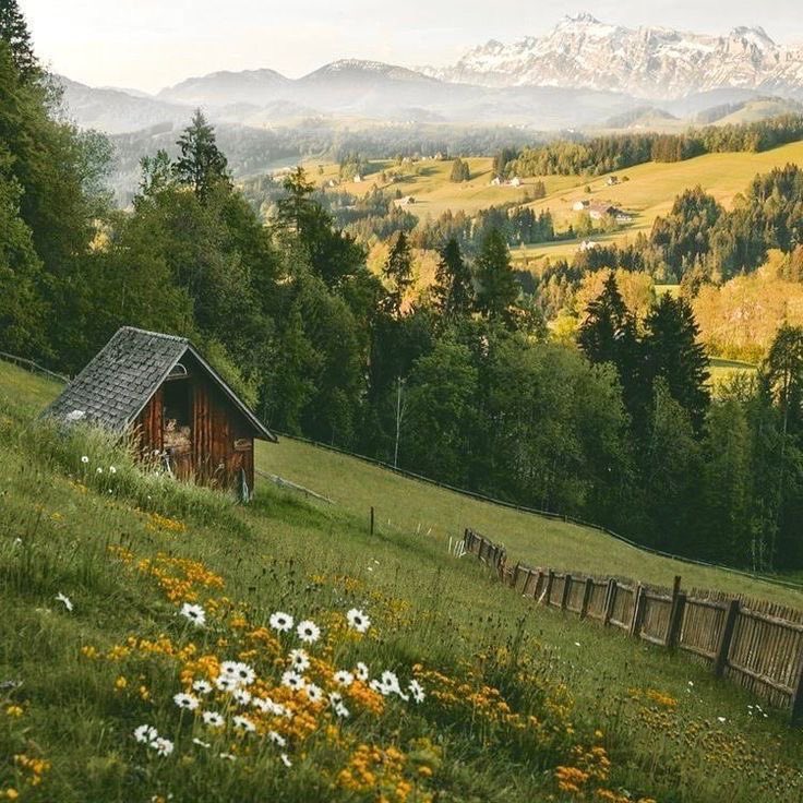 seraphicxc's tweet image. 