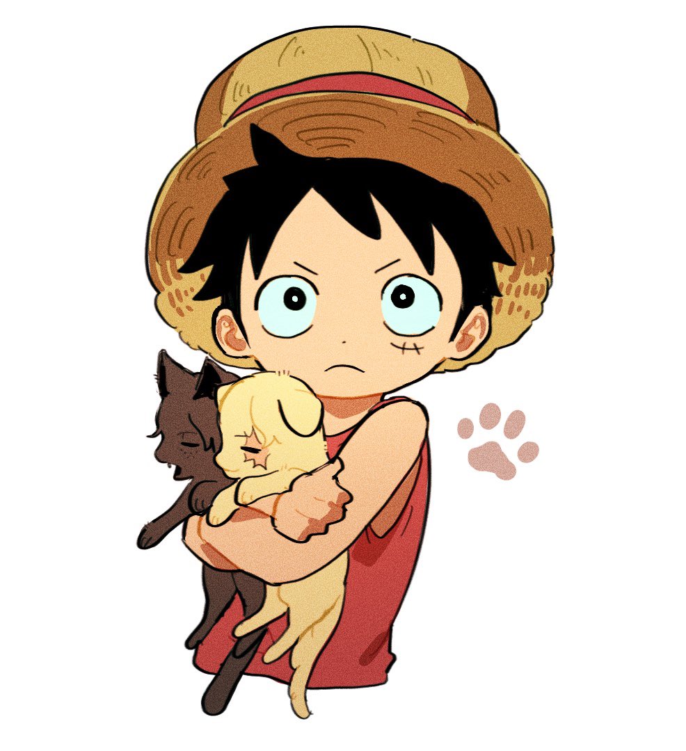 4PIMH's tweet image. asl 꼬꼬미들…