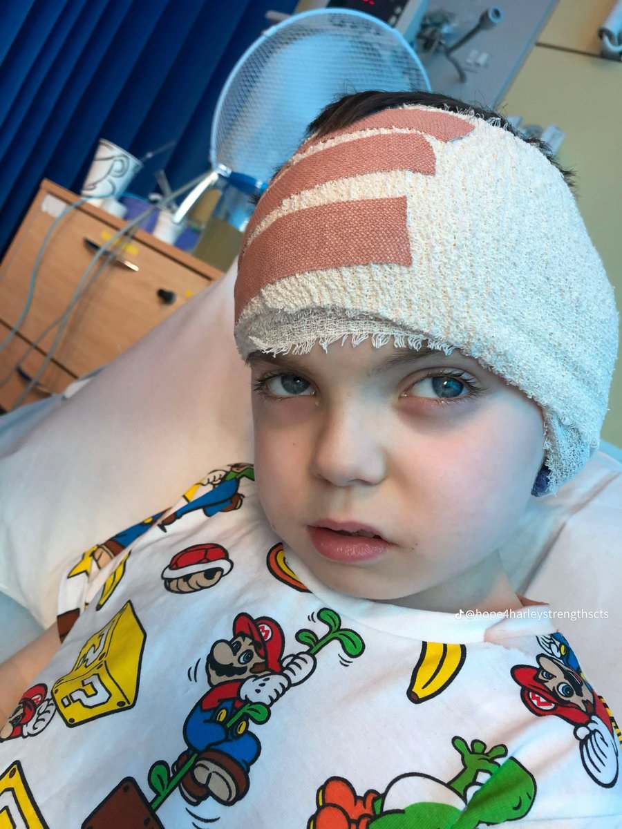 ‼️PLEASE HELP HARLEY‼️

Update on Harley from his family. 

This week we finally had a zoom call with dr lenke the surgeon we’ve been trying to get in contact with to help save him. After being told Harley’s inoperable in the uk this really was our last shot.
Dr lenke said he can