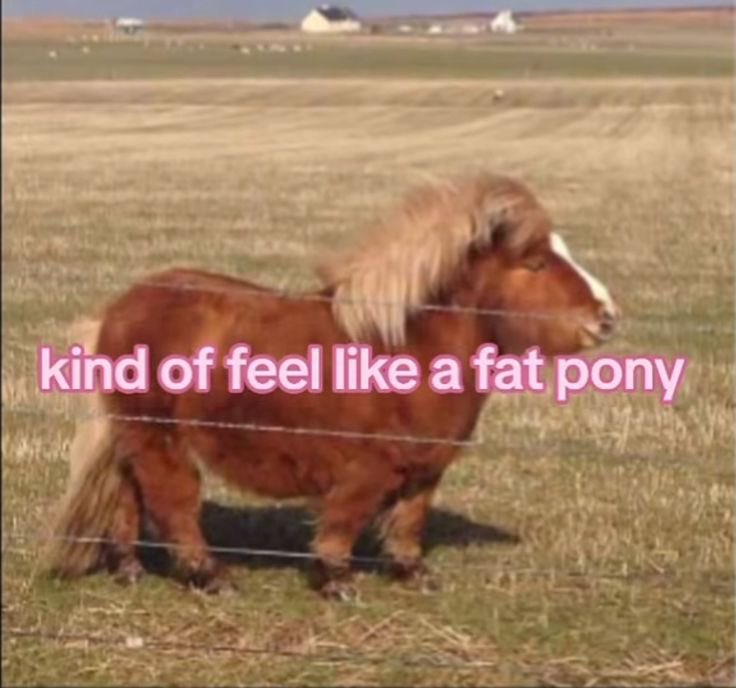 intellectualspo's tweet image. My current mental and physical state