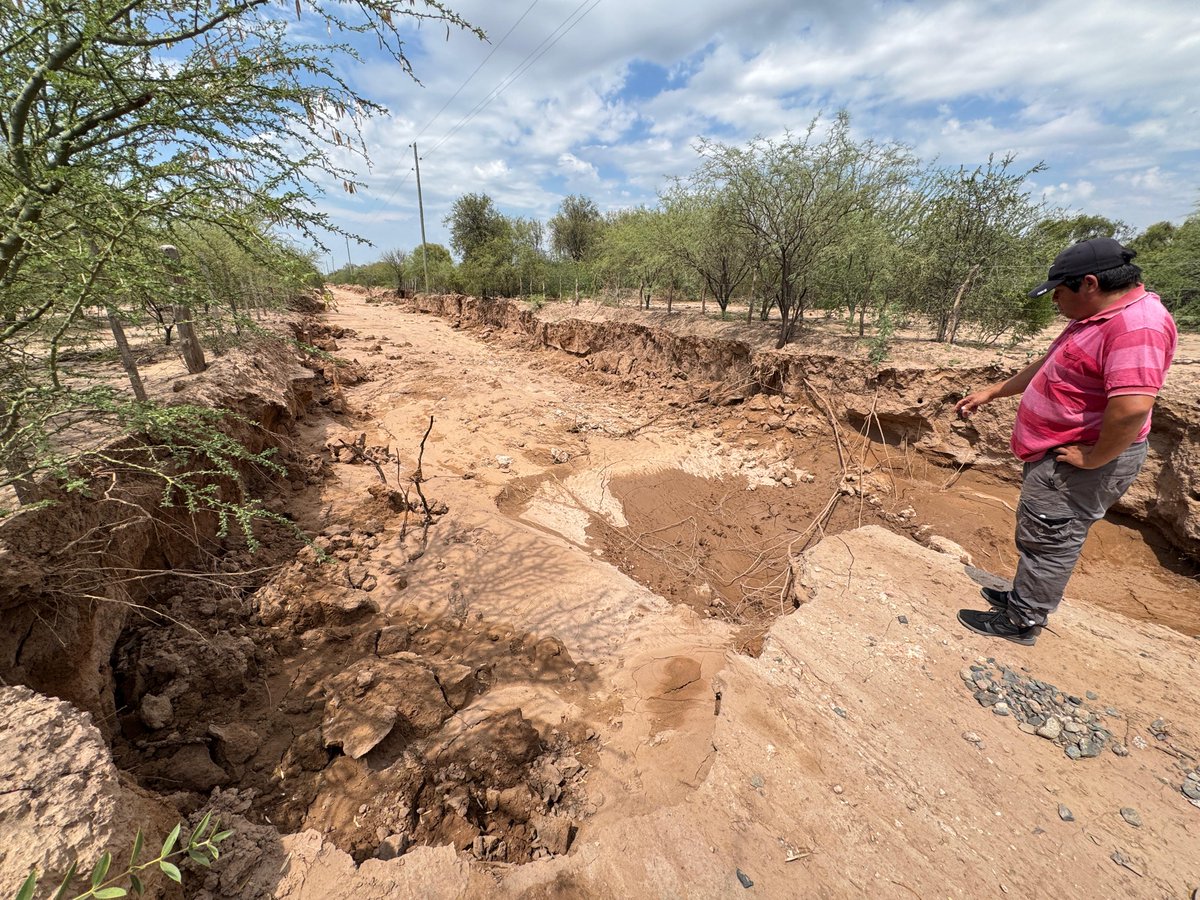 Reporte de trabajos en el Depto. Rosario Vera Peñaloza de Vialidad Provincia.

✅ Ruta 29: Transitable. Trabajo conjunto con equipos de Edelar en tramo de 4 km. 

✅ Villa Casana – La Jarilla – Quebrada a Vallecito: Transitabilidad recuperada (circular con precaución). 

✅ La
