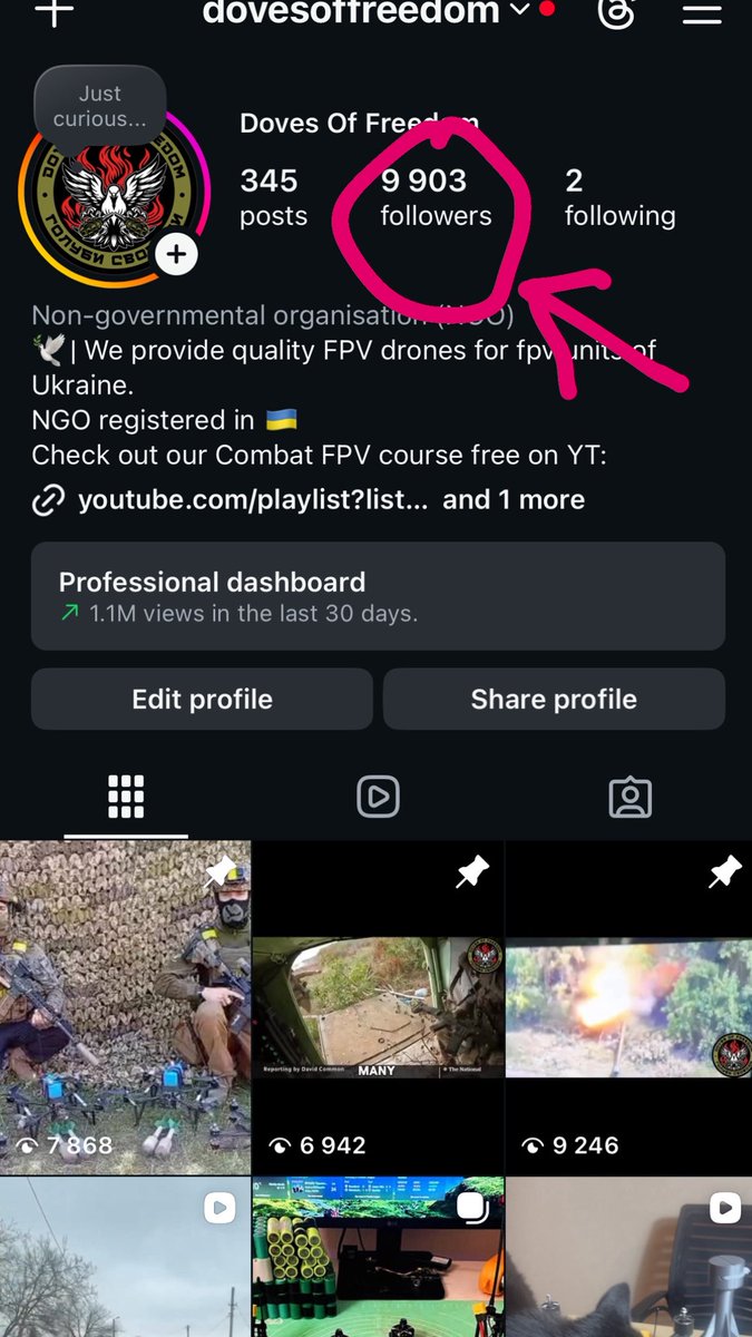 Doves Of Freedom tweet media