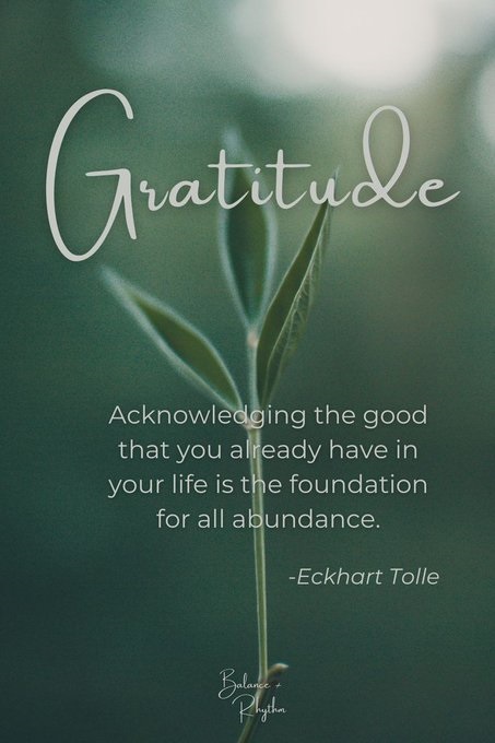 TrainingMindful's tweet photo. #grateful #gratefulheart #gratitude https://t.co/3Lf5GBKWyv
