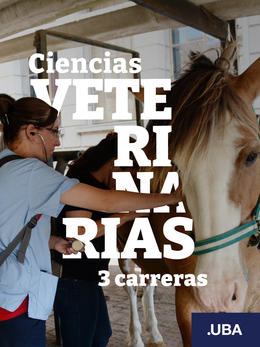 CONOCÉ LA OFERTA ACADÉMICA DE LA FACULTAD DE CIENCIAS VETERINARIAS 🐴🐑🐓

Ofrece 3 carreras de grado: Veterinaria, Biotecnología y Licenciatura en Gestión de Agroalimentos.