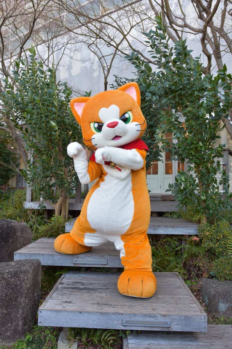 にゃん 抽選販売】MEGA CAT PROJECT ワンピース ニャンピースニャーン！ 限定