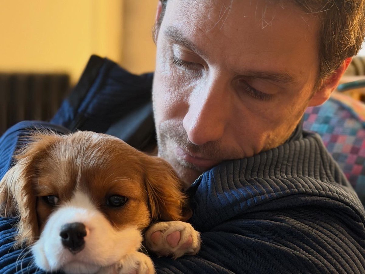 Filipe Albuquerque tweet media