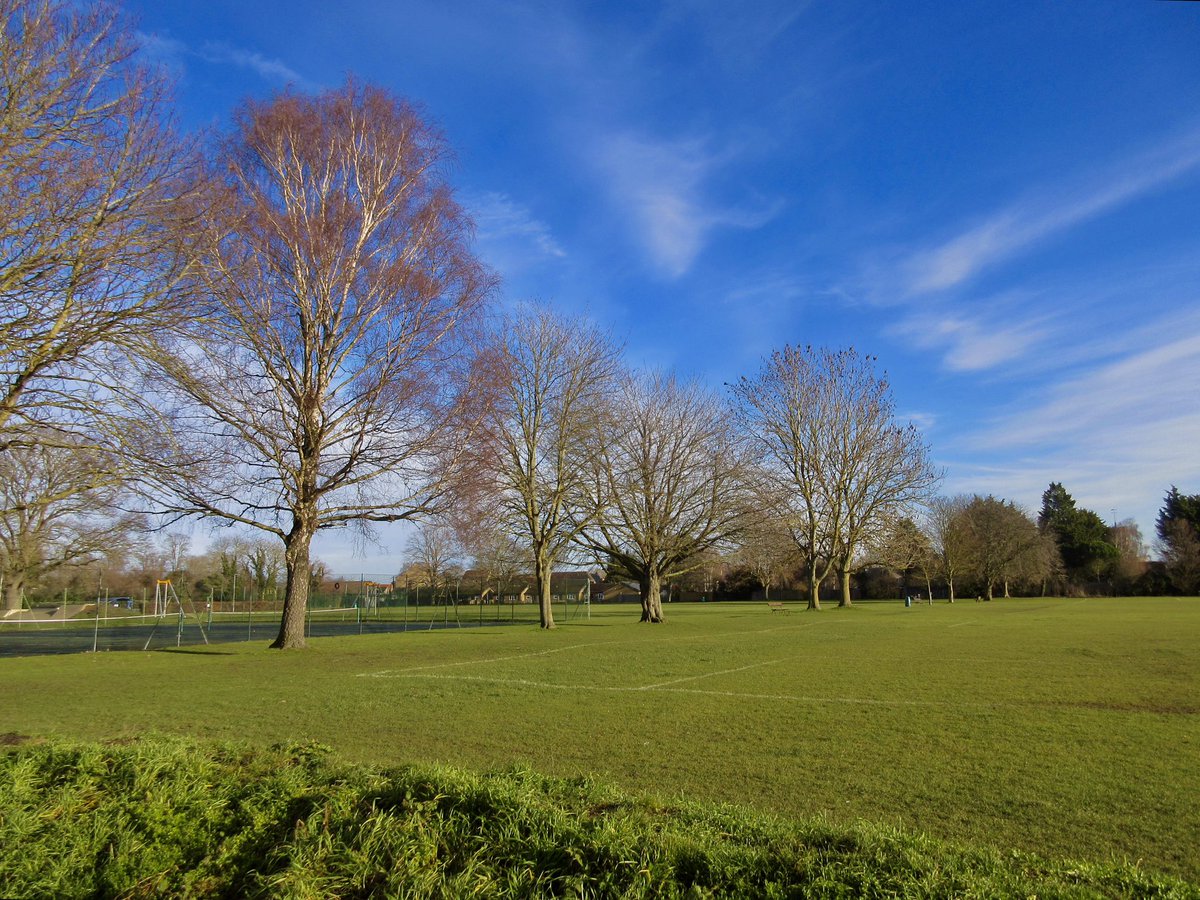 From this morning’s walk at Waterbeach…