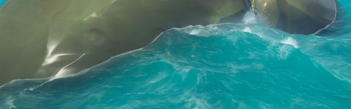 Sea of Thieves tweet media