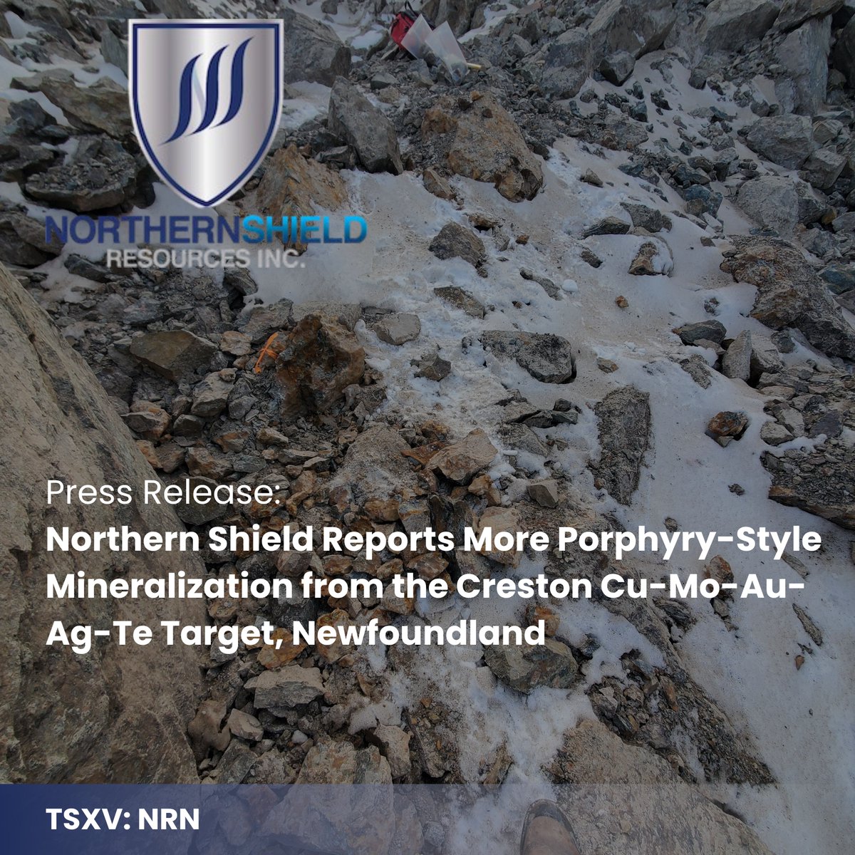 Northern Shield tweet media