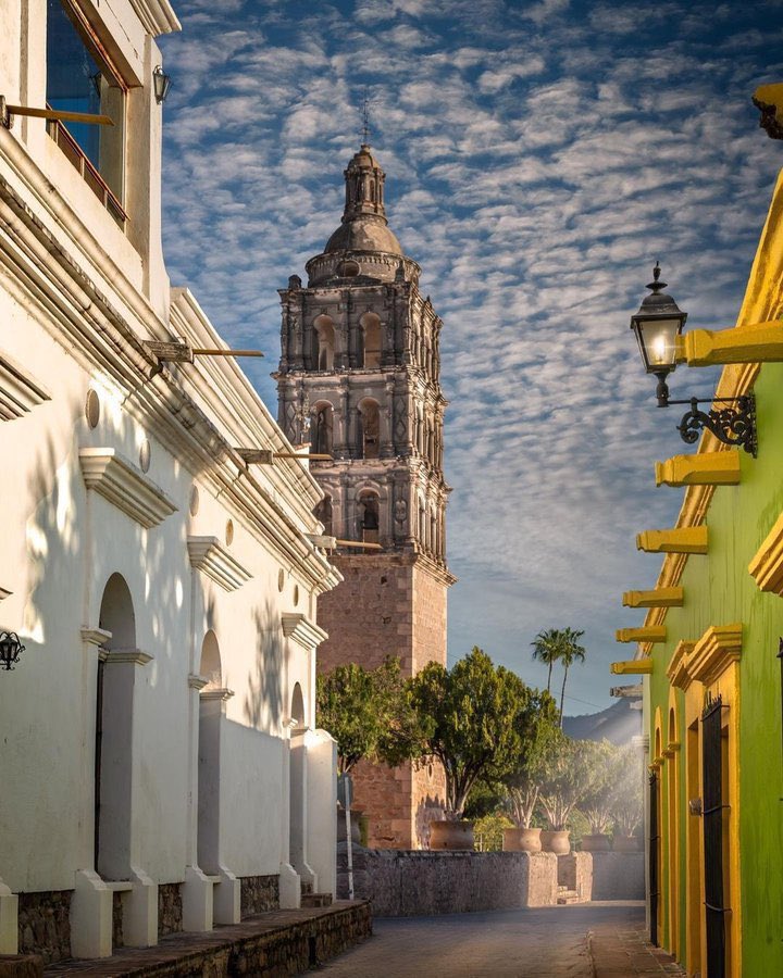 EspirituCurioso's tweet image. ¿Sabías qué en el estado de Sonora hallarás un plácido y bonito pueblo mágico de arquitectura barroca, calles empedradas y casonas antiguas? Visita Álamos, Sonora.
📸 IG: sinaloa_360