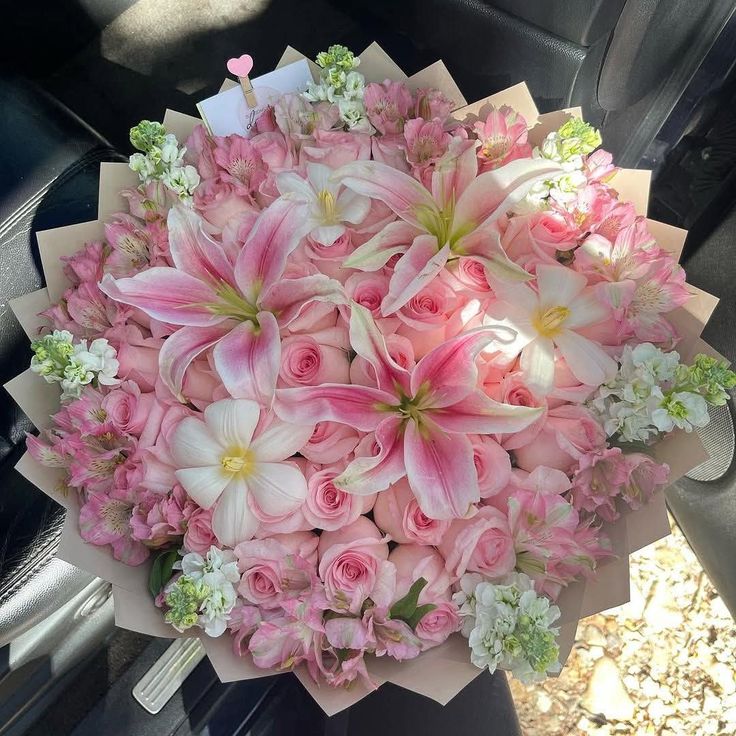 phollukidukaan's tweet image. 