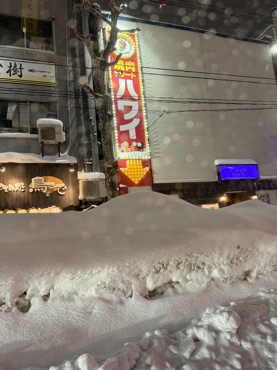 ハワイついた、くっそさみいや