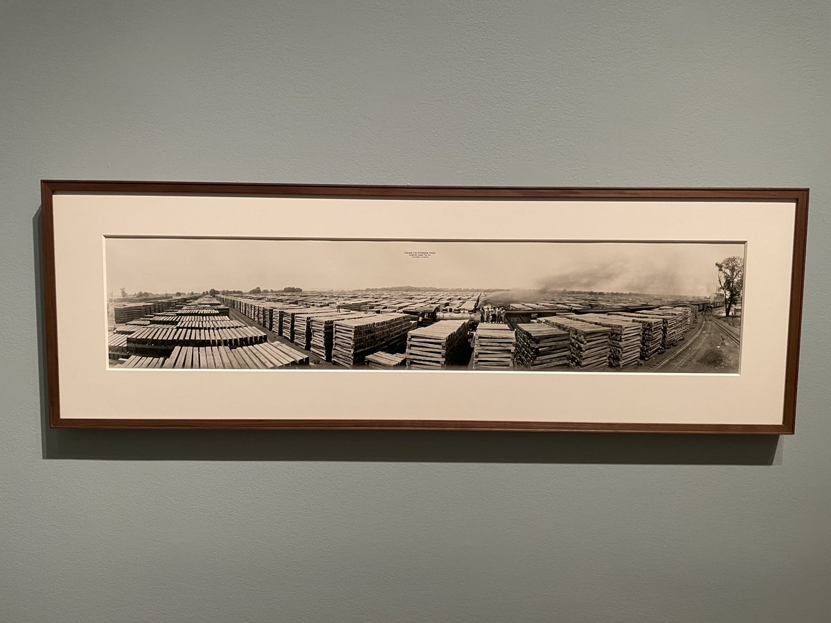 Collector Daily tweet media