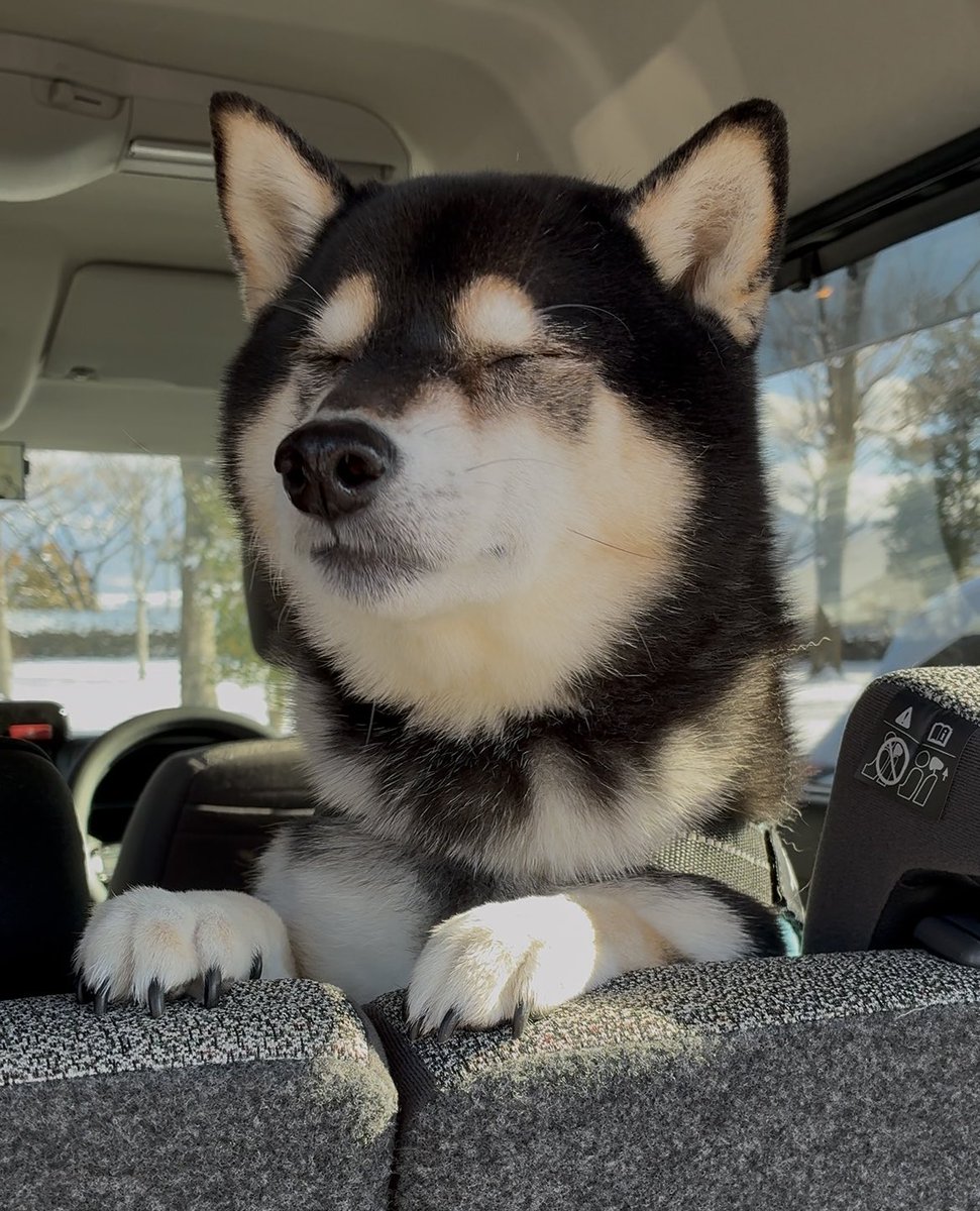 ぽんぽんポン助 (@ponpon_PONSUKE_) / Posts / X