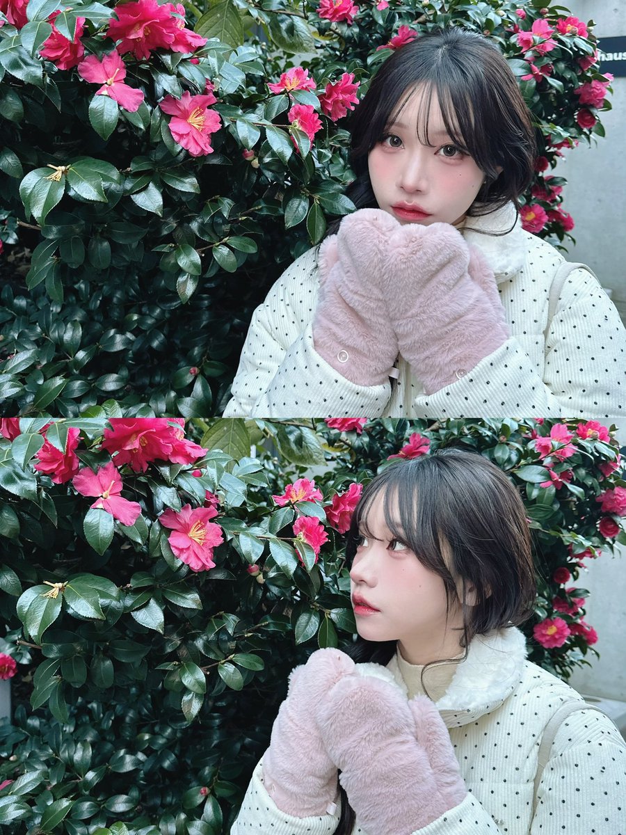 mooooo⭐︎ページ