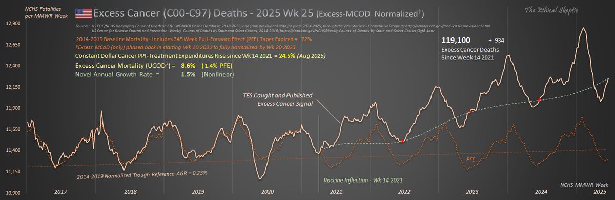 EthicalSkeptic's tweet image. With 1.7 million excess deaths among those most likely to develop cancer, cancer mortality and incidence should collapse. They are doing the opposite.