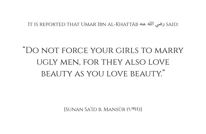 deenarmani_'s tweet image. 