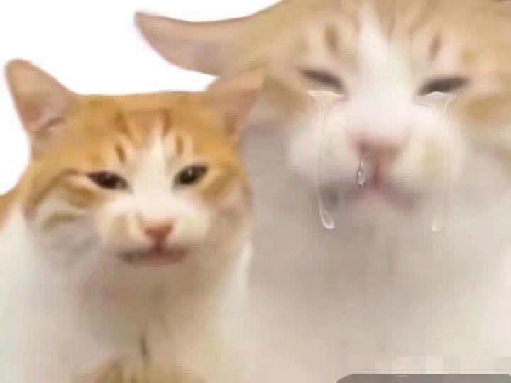 It's been raining so much here in my city, it's difficult to work in comissions, there are many power outages and now I'm without internet too... the technician said he'd come today to fix it, but I don't know if he really will come due to the weather