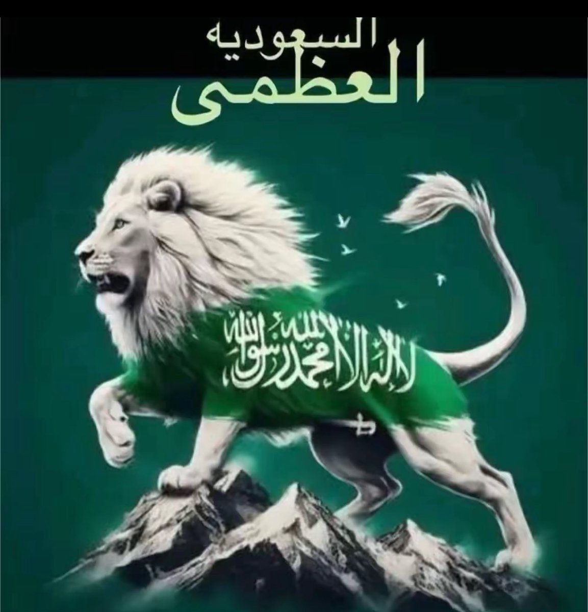 #السعودية_العظمى 

علموا المتزيعم وعلموا النُظمى
كل منهم يعتبِر والعبر حيّه

كل من عادى السعودية العظمى
دمّره ربي وحفظ السعودية

#سعيد_ابن_مساعد_الوادعي
