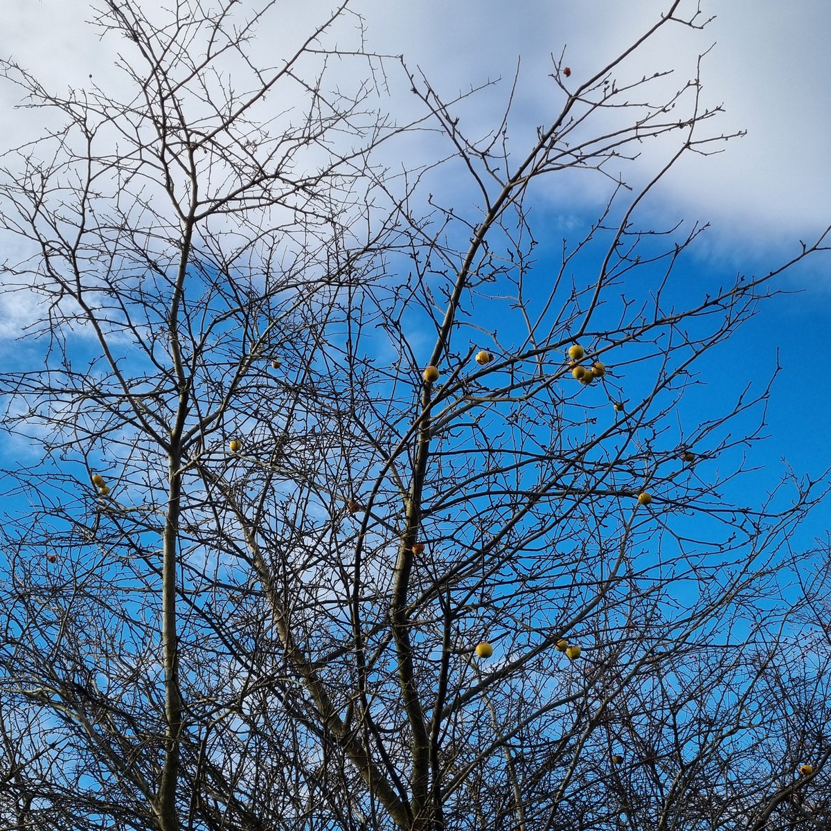 MerielGJones tweet media