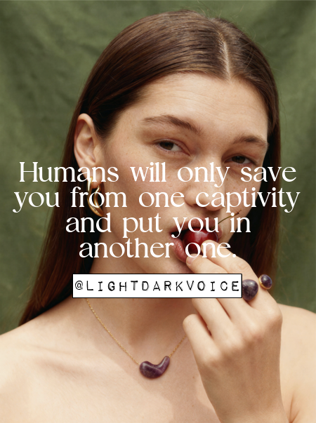 LightDarkVoice's tweet photo. Freedom offered without understanding often comes with invisible chains. Choose awareness over rescue.

#DeepThoughts #TruthHits #MindAwakening #RealTalk #ThinkDeeper  
#LifeLessons #WisdomDaily #UncomfortableTruth #PerspectiveShift  
#InnerFreedom #SelfAwareness #MentalChains https://t.co/568iQI7SNf