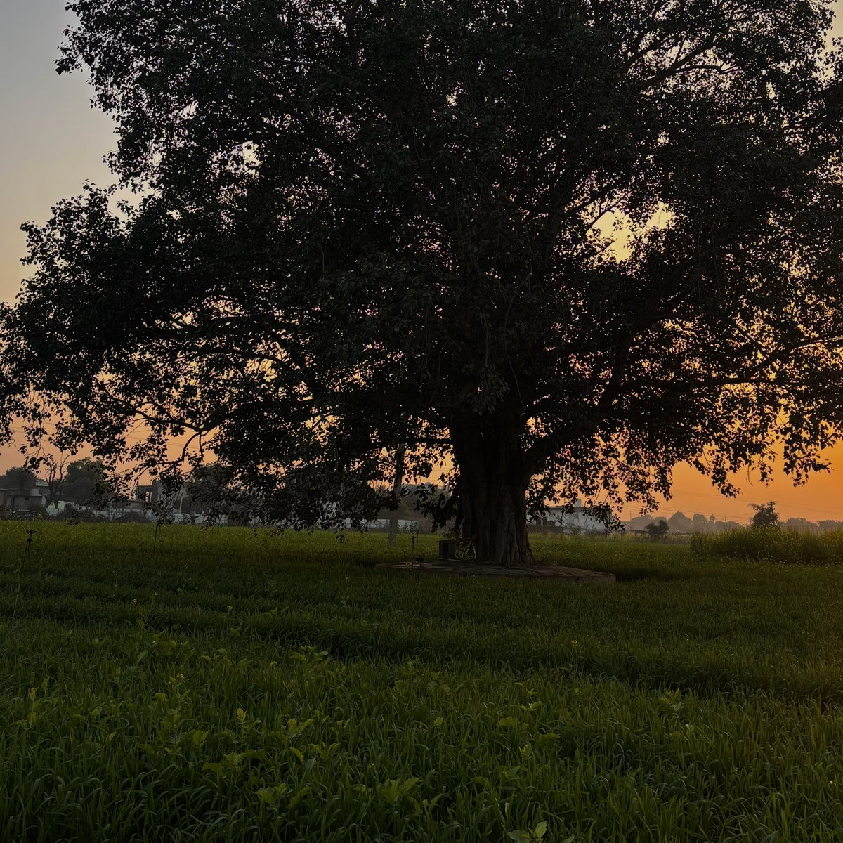 zeeaurav's tweet image. finding peace