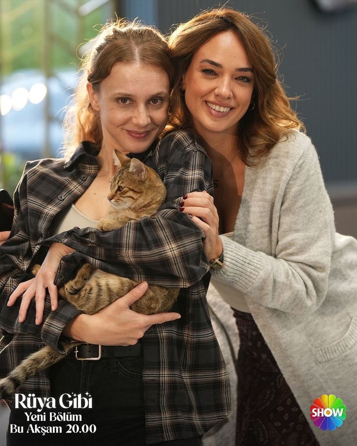 nightsyntaxz's tweet image. bir şey diyeceğim son zamanların en iyi ekibi ya

RüyaGibi GünDeğişikliği