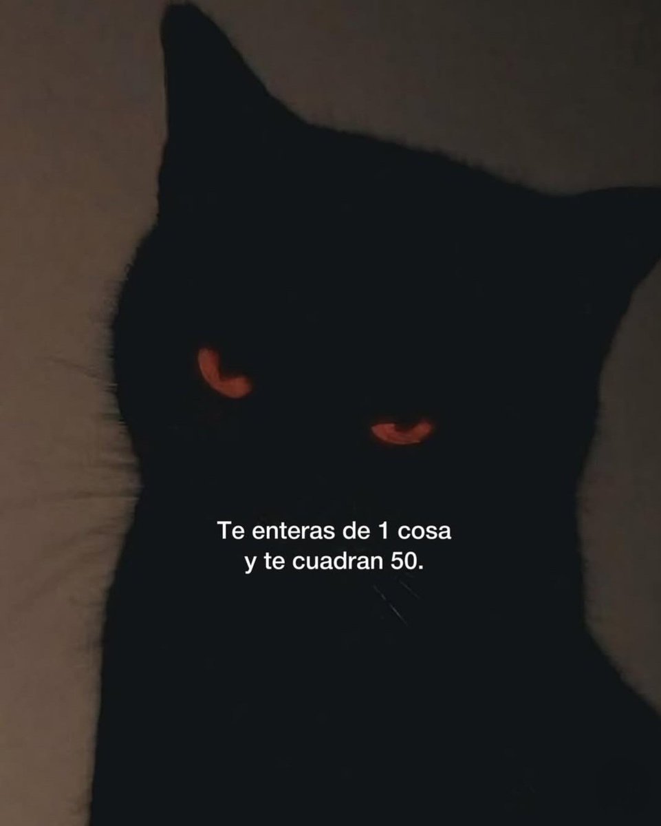 Beryl 🧶 (@berilyn_02) on Twitter photo 