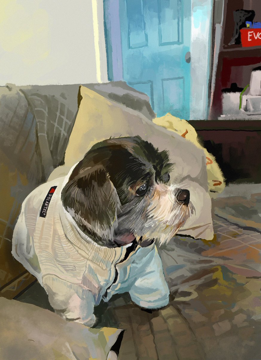 Did a study of my dog Yoda. Yes he is named after the little green guy lmao.