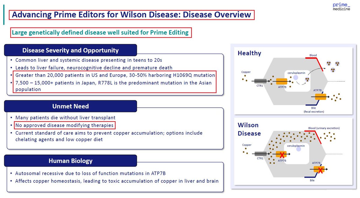 Yair Einhorn tweet media
