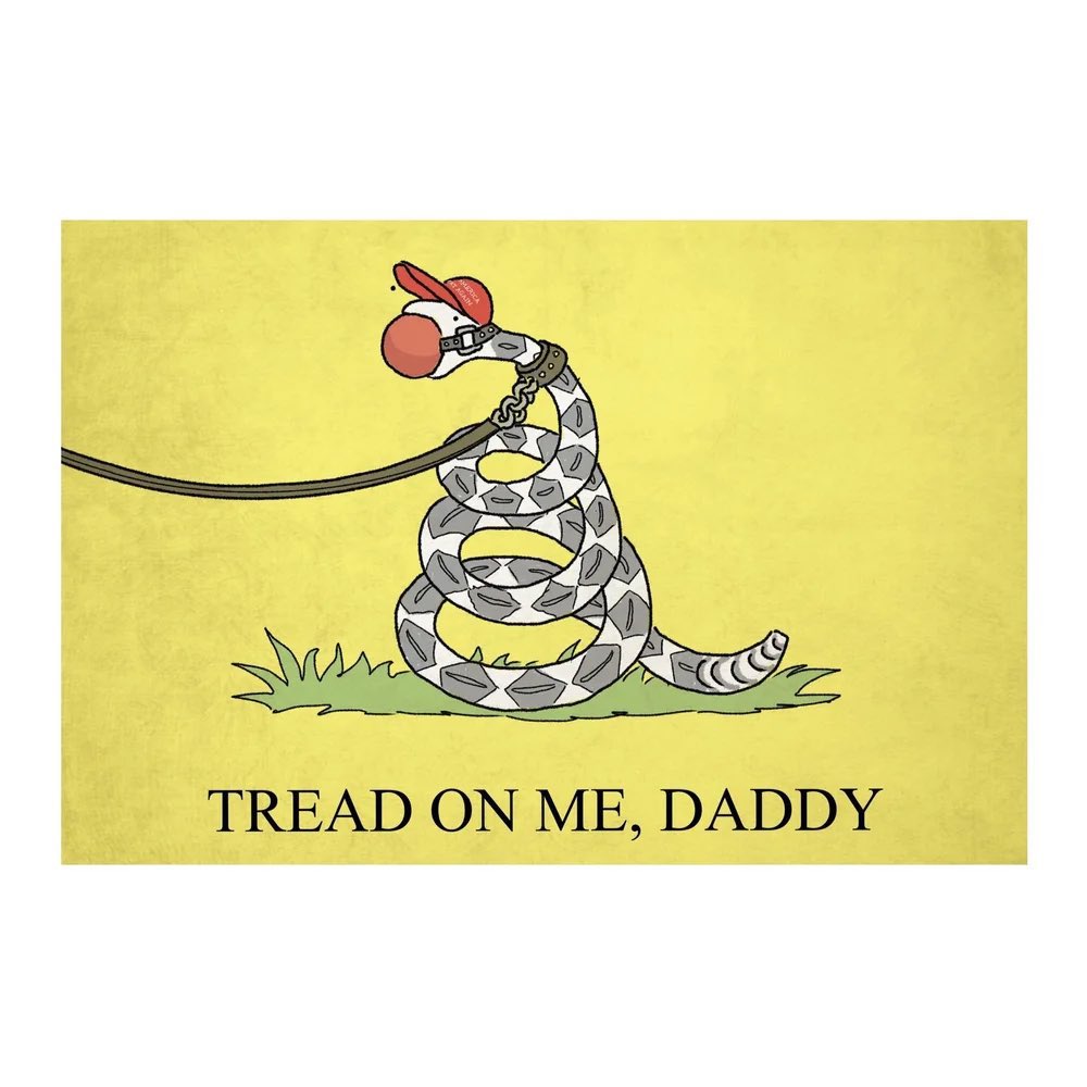 MikeScherr1's tweet image. 