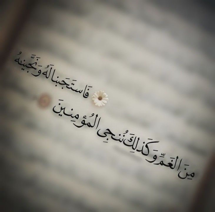 "Bunun üzerine duasına icabet ettik ve onu üzüntüden kurtardık. İşte biz, iman edenleri böyle kurtarırız."

Enbiyâ/88.