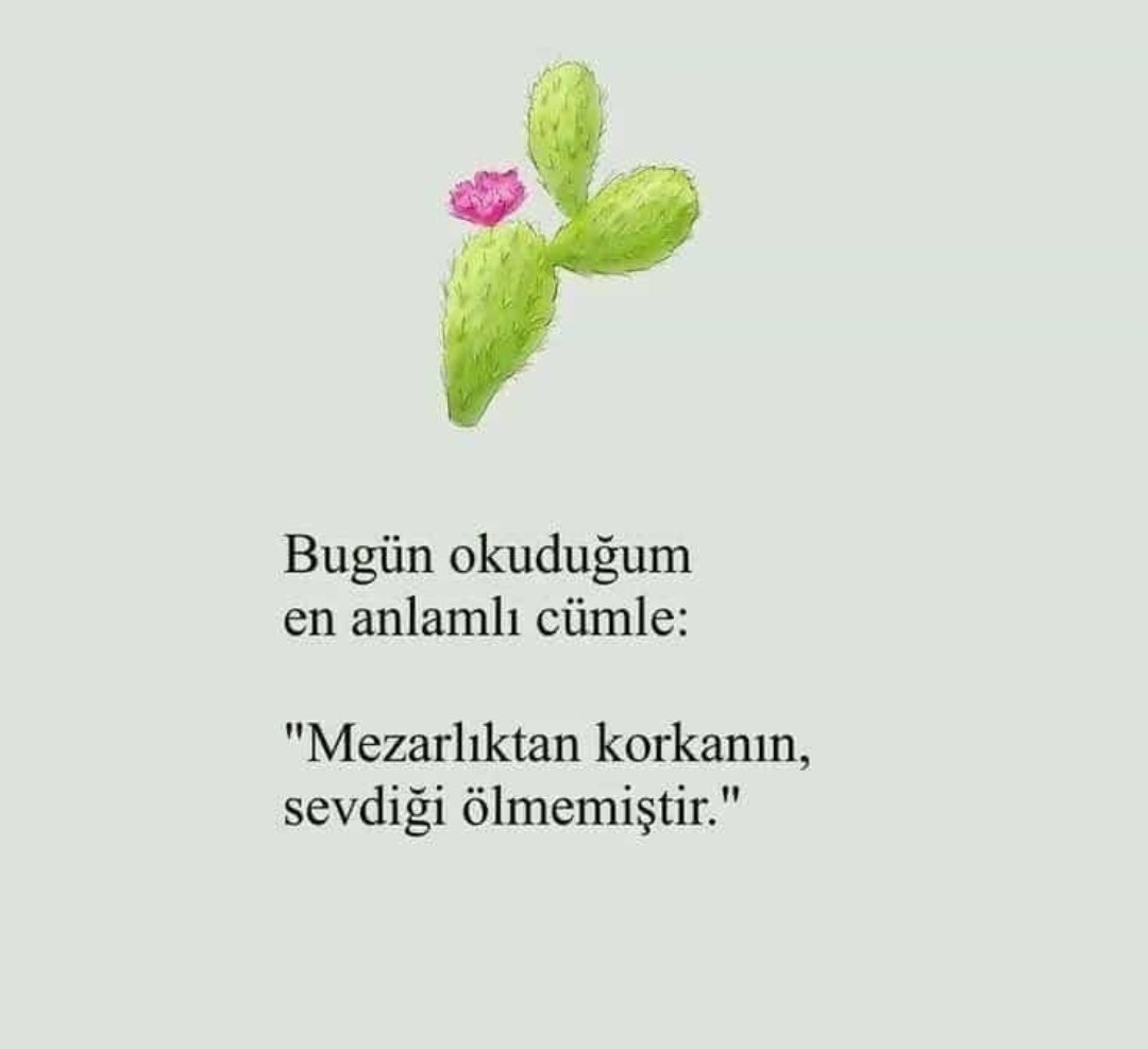 AsyaÇiçek (@asyaiek18) on Twitter photo 