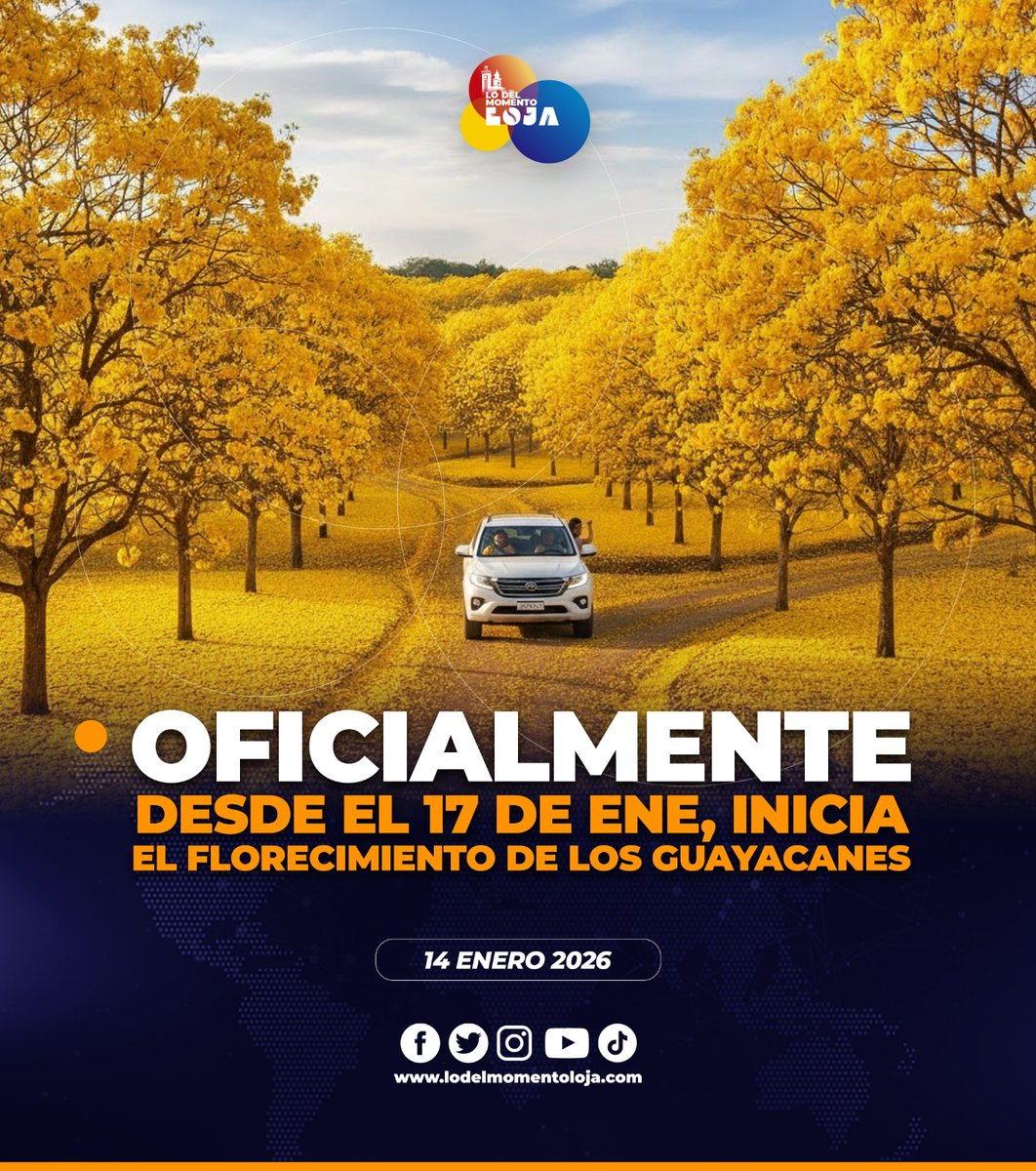 🥹👏🏻✨¡Belleza natural! El cantón Zapotillo, en la provincia de Loja, se alista para vivir uno de los fenómenos naturales más emblemáticos del sur del Ecuador: el florecimiento de los guayacanes, que se prevé ocurra desde el sábado 17 hasta el jueves 22 de enero, dependiendo de