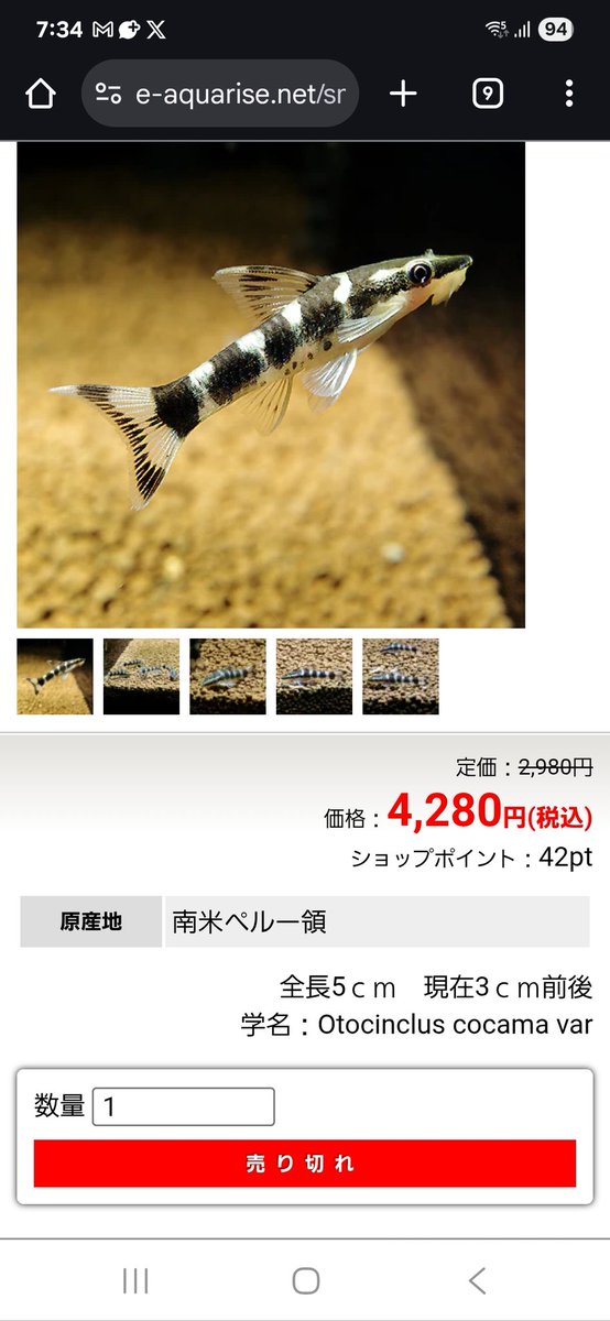 ktaro_drums's tweet photo. おーーい！定価を超えてどうする！！買おうと思ったのに https://t.co/N8kbhsSRdr