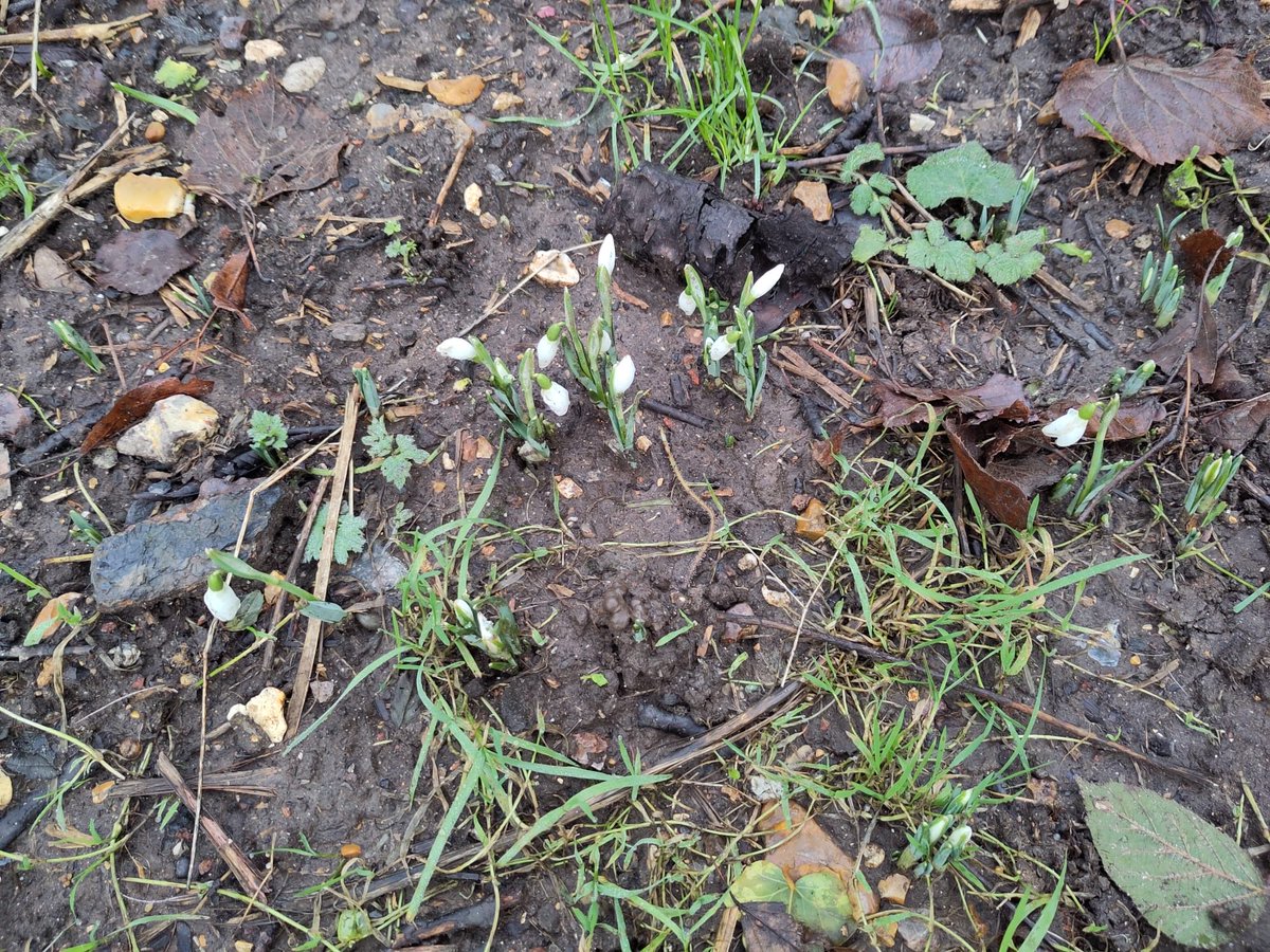 Friends of Portswood Rec tweet media