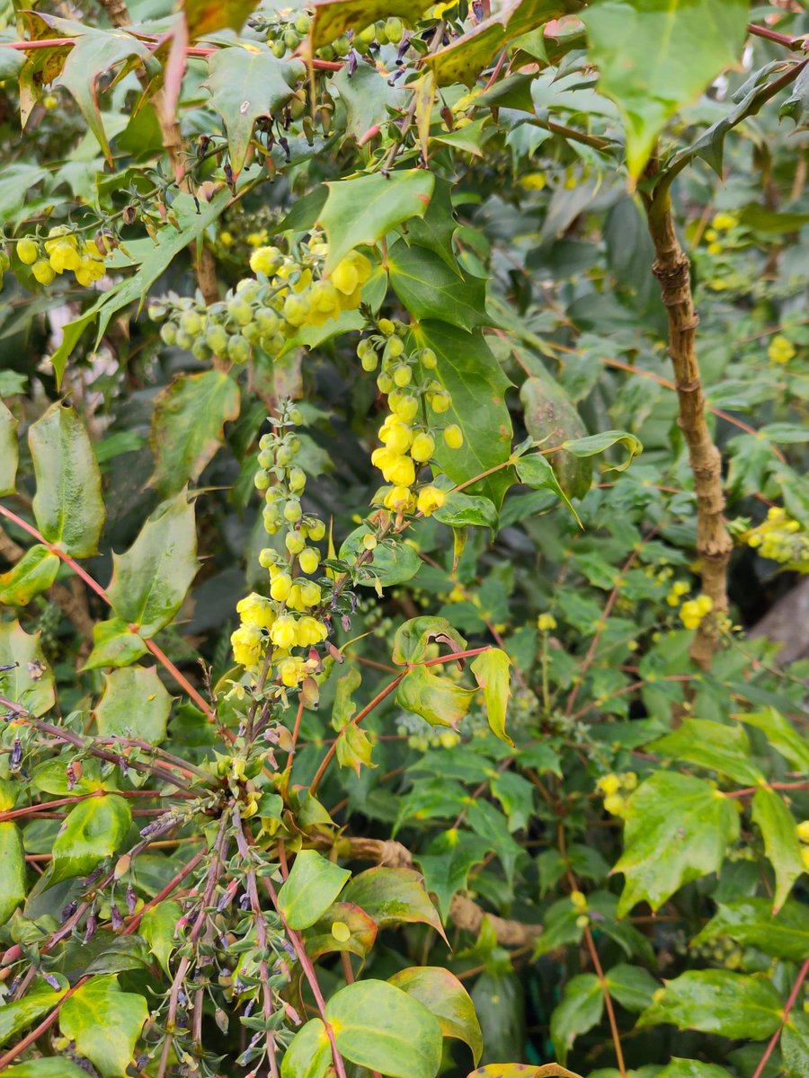 Friends of Portswood Rec tweet media