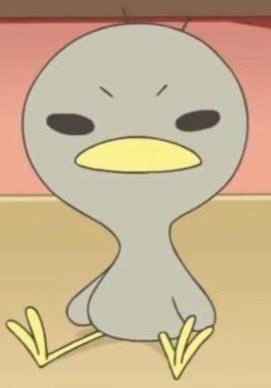 참고로 나는 2순위 꼬꼬파임
1순위는 조롱당할까봐 비밀로함