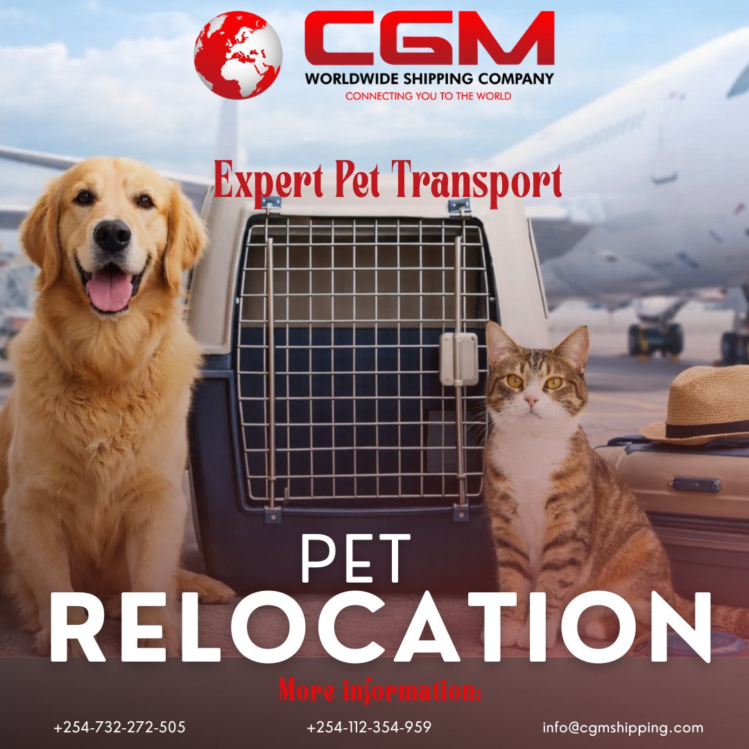 cgmshippin49594's tweet image. Because pets are family too. 🐾
New address, same best friend 🐶🐱🏡
We make sure your pet relocates safely and happily.
#PetsAreFamily #PetTravel #AnimalRelocation #MovingMadeEasy #petlover #safepettravel