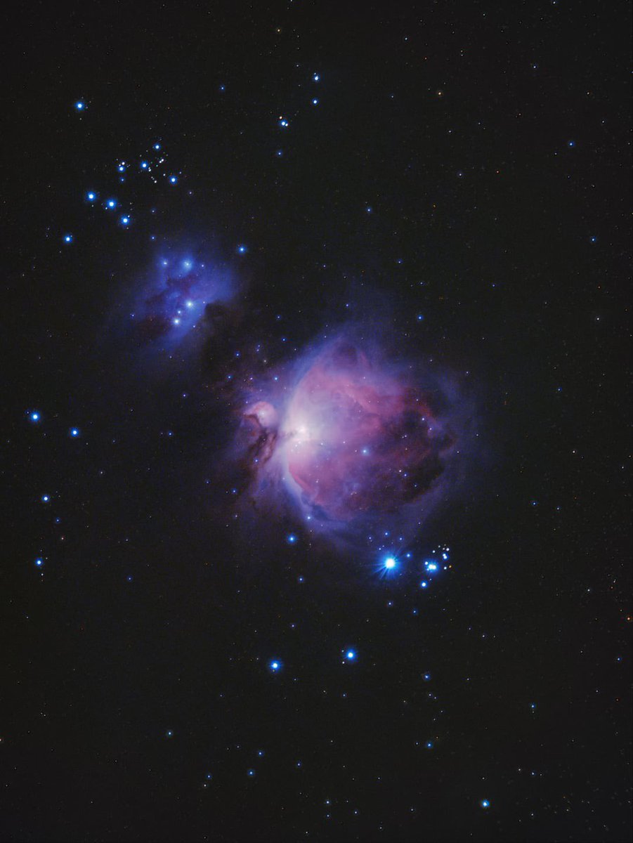 The Orion Nebula ✨