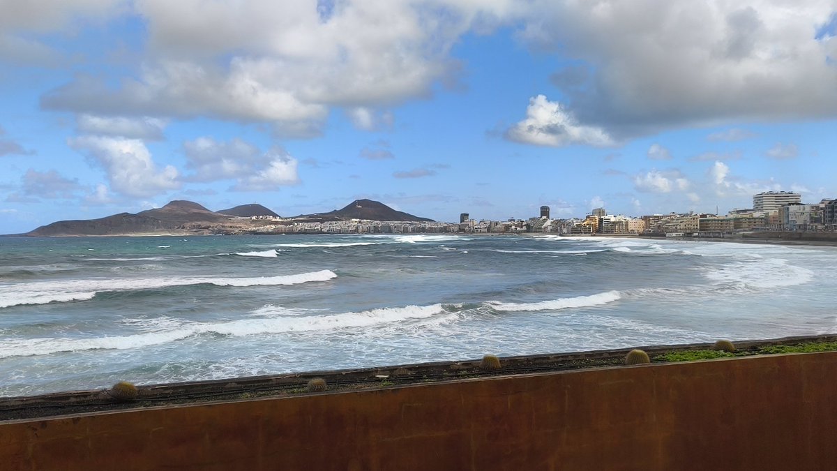 Sociedad Española del Dolor tweet media