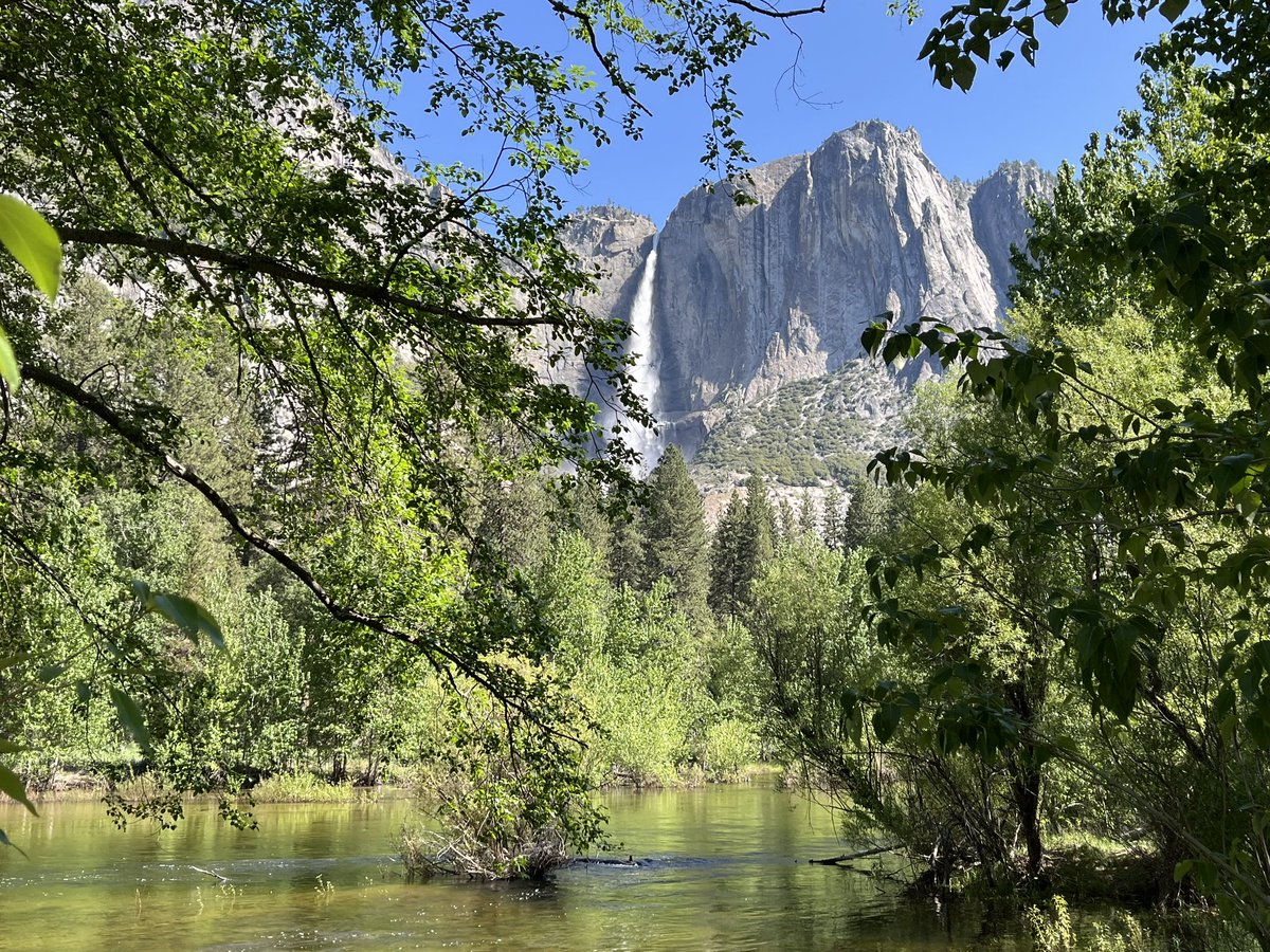 Sixto Porras tweet media