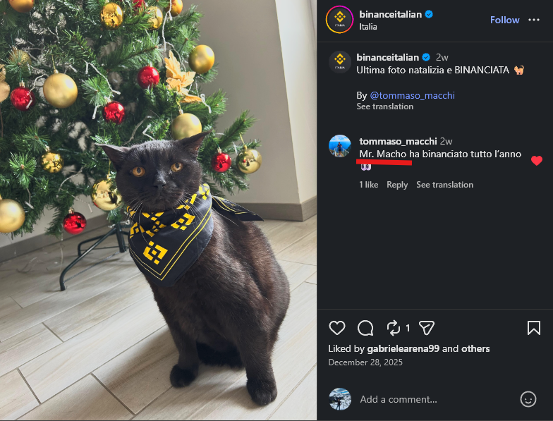 Neural Networks Ai tweet media