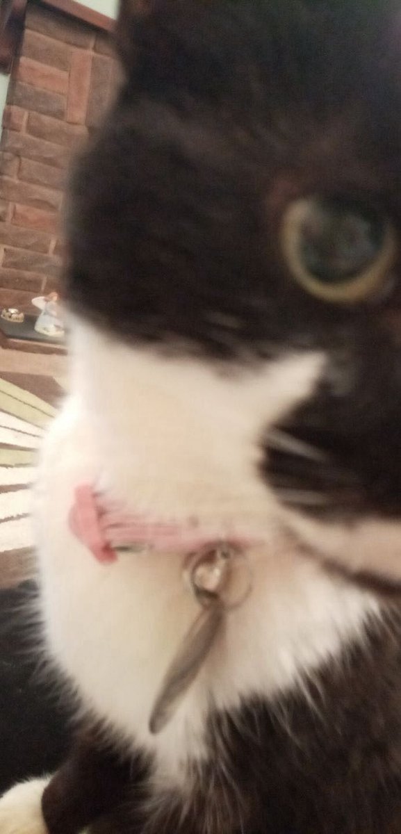 First photo is 4 years ago today and the second is six years ago! 

Miss her so much!