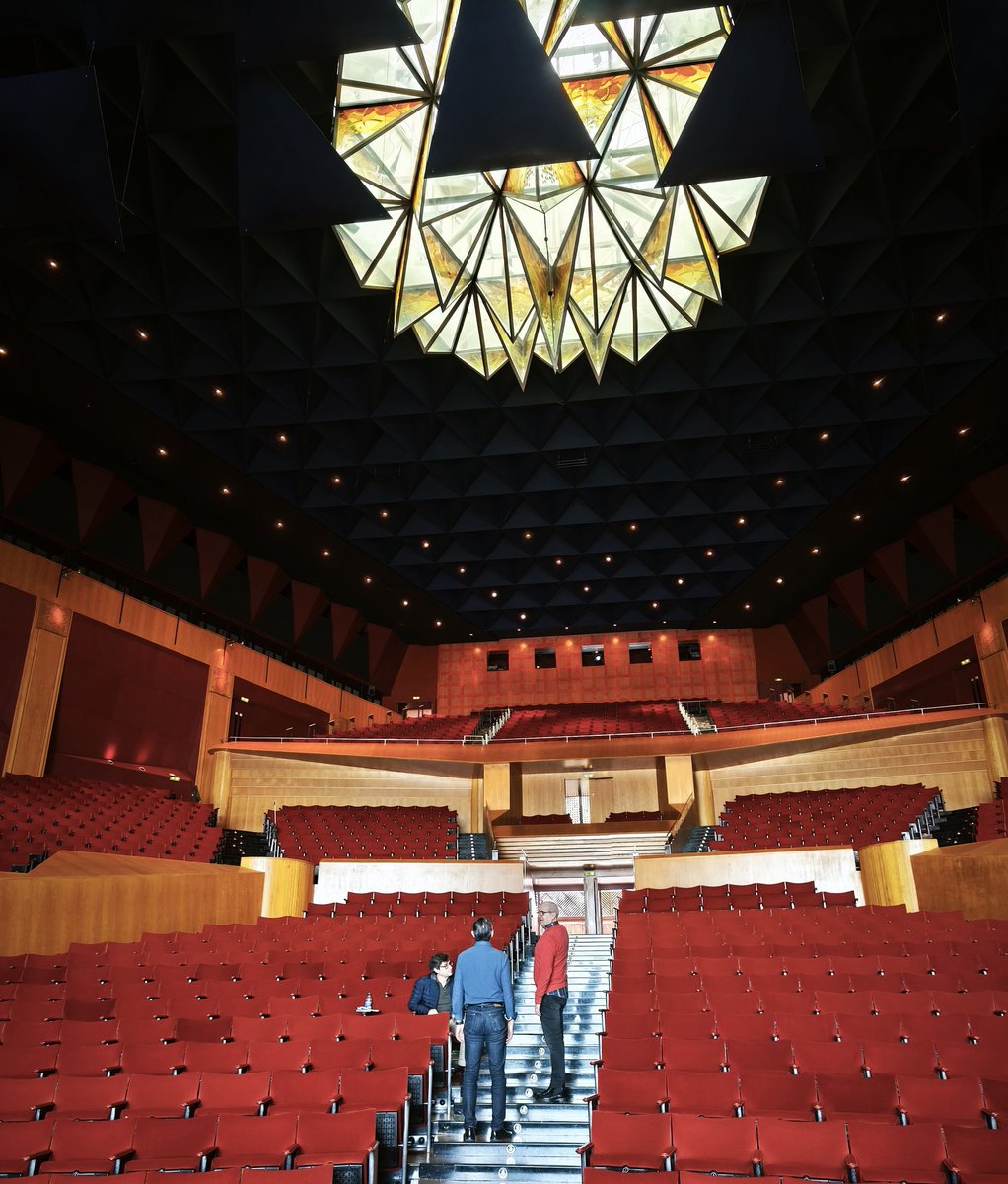 Sociedad Española del Dolor tweet media