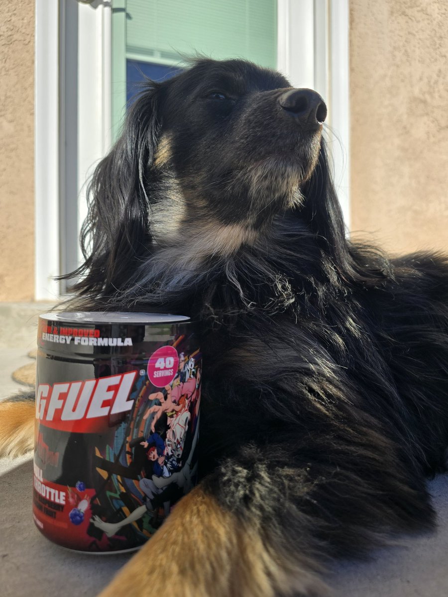 SL1K_Chaos's tweet image. Happy Wednesday 😊 

Milo &amp;amp; @GFuelEnergy Is Always The Way 🫶

Am I Right ✅️