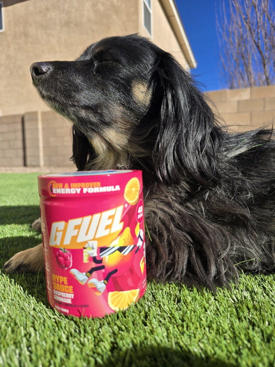 SL1K_Chaos's tweet image. Happy Wednesday 😊 

Milo &amp;amp; @GFuelEnergy Is Always The Way 🫶

Am I Right ✅️