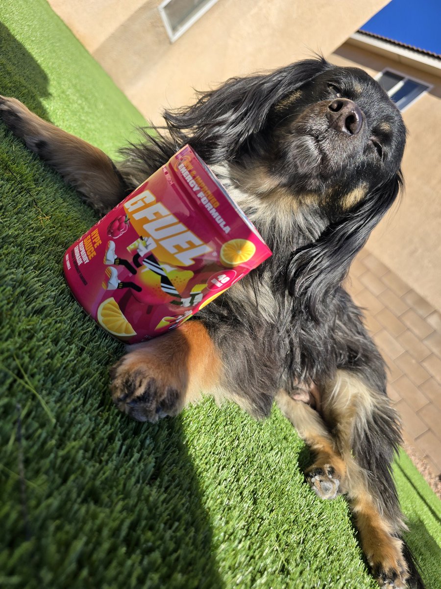 SL1K_Chaos's tweet image. Happy Wednesday 😊 

Milo &amp;amp; @GFuelEnergy Is Always The Way 🫶

Am I Right ✅️